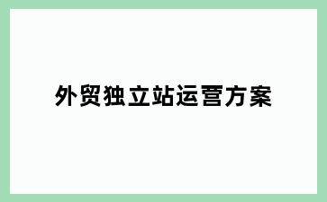 外贸独立站运营方案