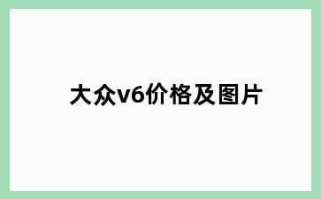 大众v6价格及图片