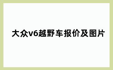 大众v6越野车报价及图片