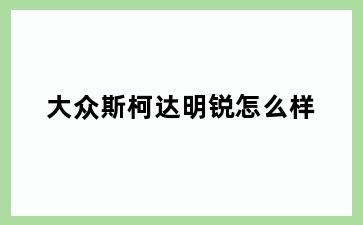 大众斯柯达明锐怎么样