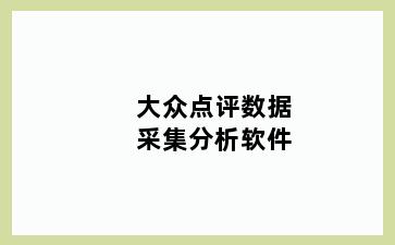 大众点评数据采集分析软件