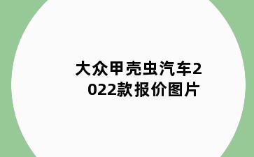 大众甲壳虫汽车2022款报价图片