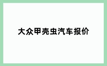 大众甲壳虫汽车报价
