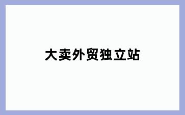 大卖外贸独立站