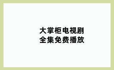 大掌柜电视剧全集免费播放