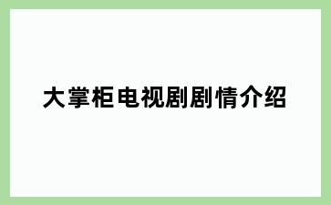 大掌柜电视剧剧情介绍