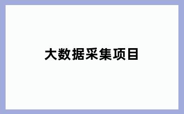 大数据采集项目