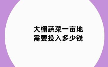 大棚蔬菜一亩地需要投入多少钱