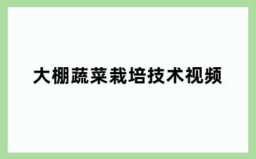 大棚蔬菜栽培技术视频
