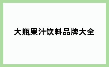 大瓶果汁饮料品牌大全