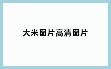大米图片高清图片