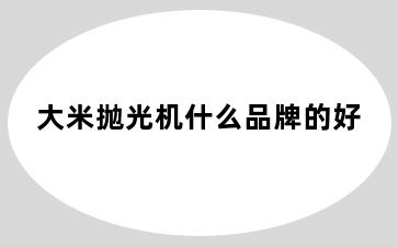 大米抛光机什么品牌的好