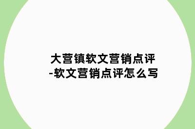 大营镇软文营销点评-软文营销点评怎么写