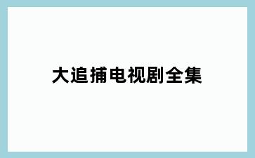 大追捕电视剧全集