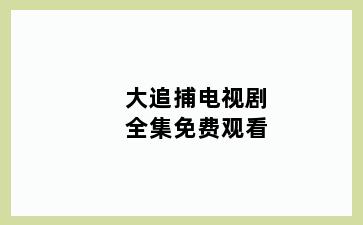 大追捕电视剧全集免费观看