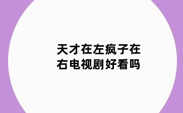 天才在左疯子在右电视剧好看吗