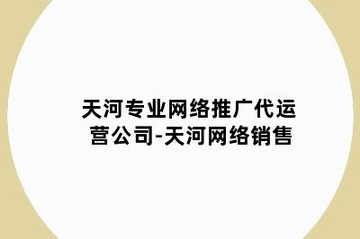 天河专业网络推广代运营公司-天河网络销售