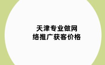 天津专业做网络推广获客价格