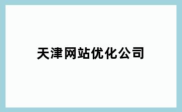 天津网站优化公司