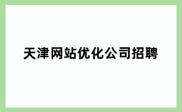 天津网站优化公司招聘