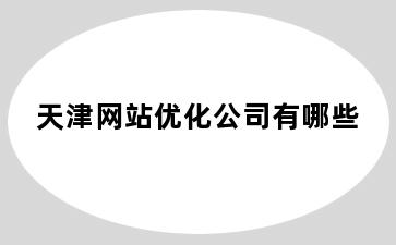天津网站优化公司有哪些