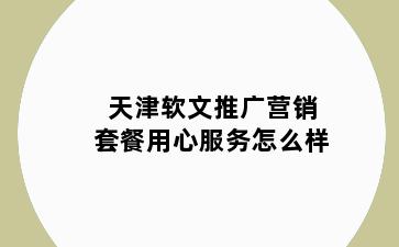 天津软文推广营销套餐用心服务怎么样