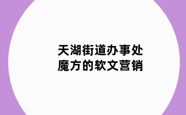 天湖街道办事处魔方的软文营销