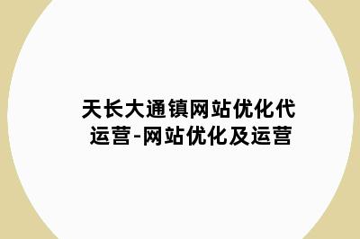 天长大通镇网站优化代运营-网站优化及运营