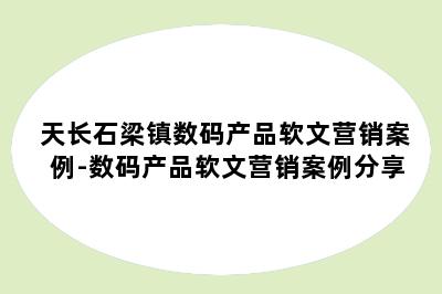 天长石梁镇数码产品软文营销案例-数码产品软文营销案例分享