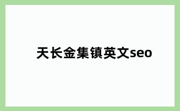 天长金集镇英文seo