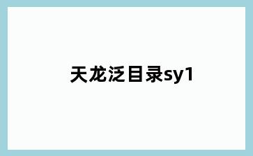 天龙泛目录sy1