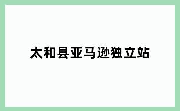 太和县亚马逊独立站