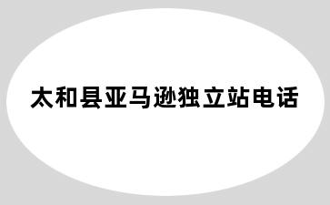 太和县亚马逊独立站电话