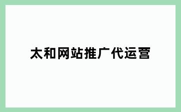 太和网站推广代运营