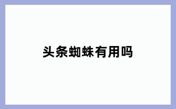 头条蜘蛛有用吗