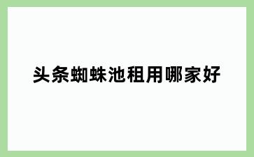 头条蜘蛛池租用哪家好