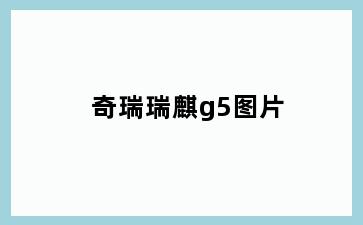 奇瑞瑞麒g5图片