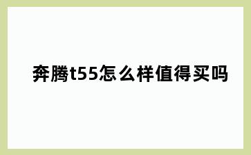 奔腾t55怎么样值得买吗