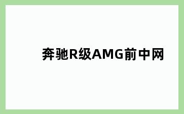 奔驰R级AMG前中网