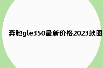 奔驰gle350最新价格2023款图片