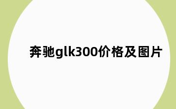 奔驰glk300价格及图片