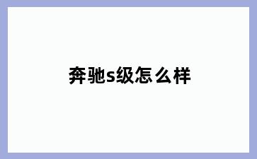 奔驰s级怎么样