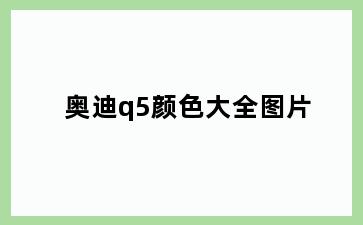 奥迪q5颜色大全图片