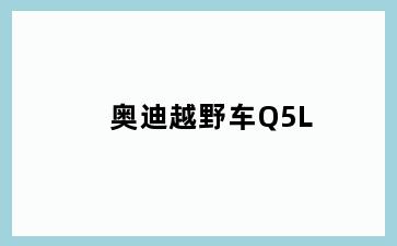 奥迪越野车Q5L