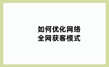 如何优化网络全网获客模式