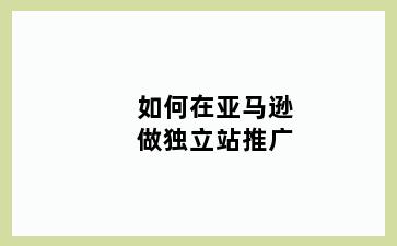 如何在亚马逊做独立站推广