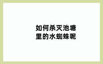 如何杀灭池塘里的水蜘蛛呢