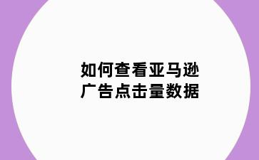 如何查看亚马逊广告点击量数据