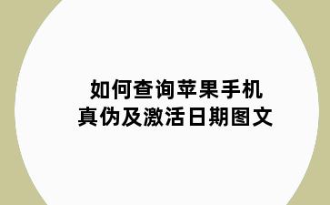 如何查询苹果手机真伪及激活日期图文