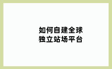 如何自建全球独立站场平台